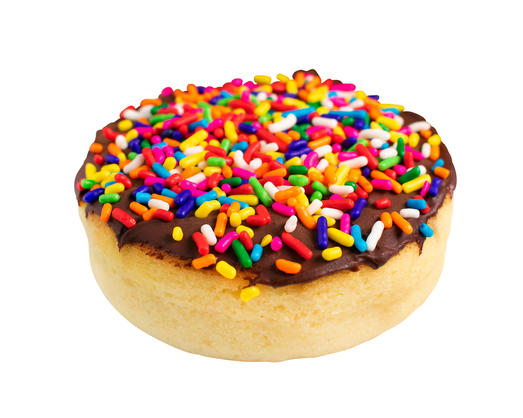 Chocolate Rainbow Sprinkle